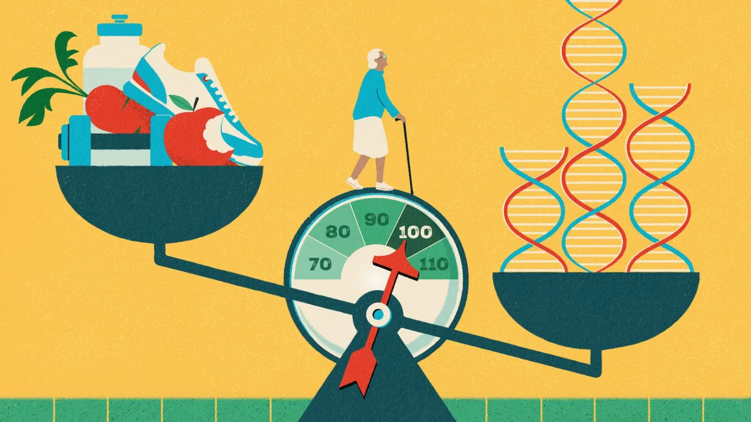 Live Longer, Live Better: How to Support Your Health and Longevity